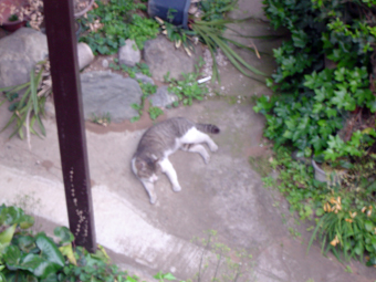 c0135618_04888.jpg