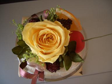 c0150019_23375325.jpg
