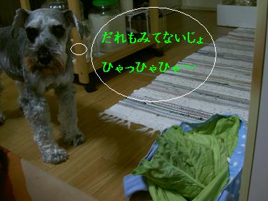c0192319_9172648.jpg