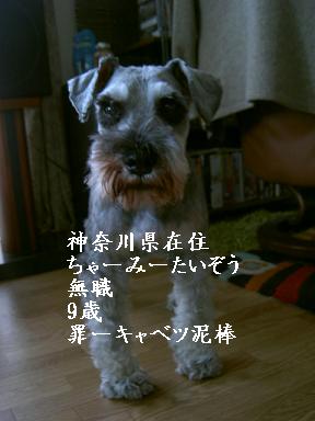c0192319_965911.jpg