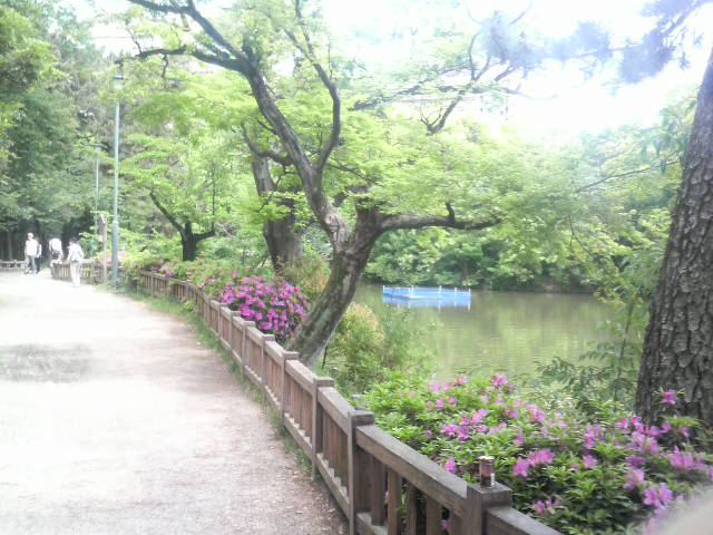 c0225420_0334647.jpg