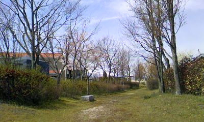 d0024220_14423938.jpg