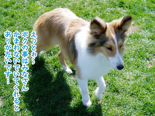 a0044521_16413858.jpg