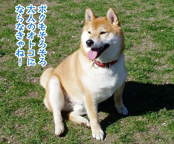 a0044521_16532884.jpg