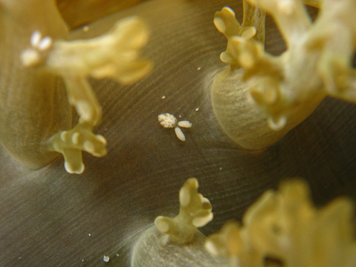 f0041021_943141.jpg