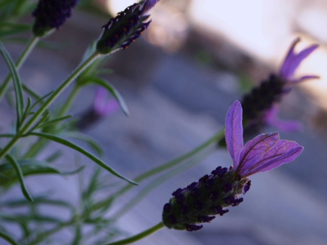 f0031722_23555952.jpg