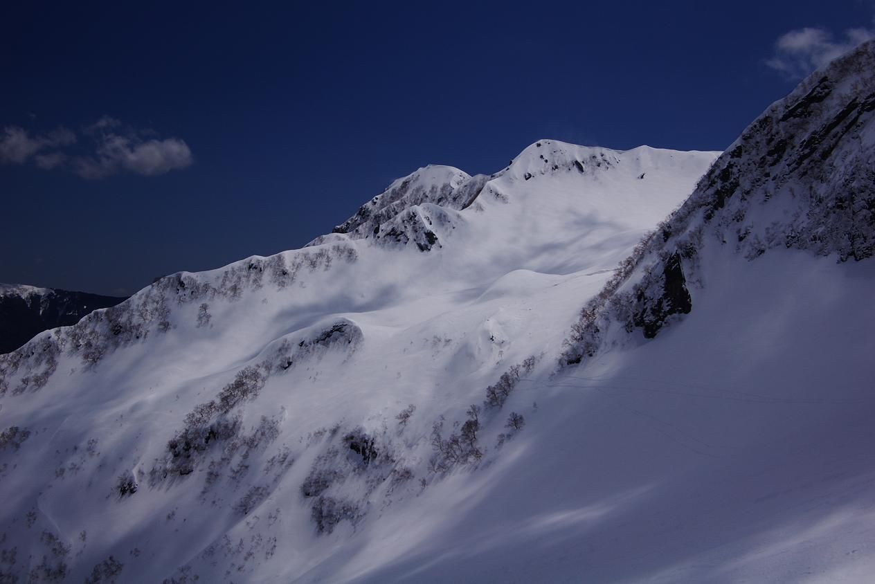 b0062024_72737.jpg