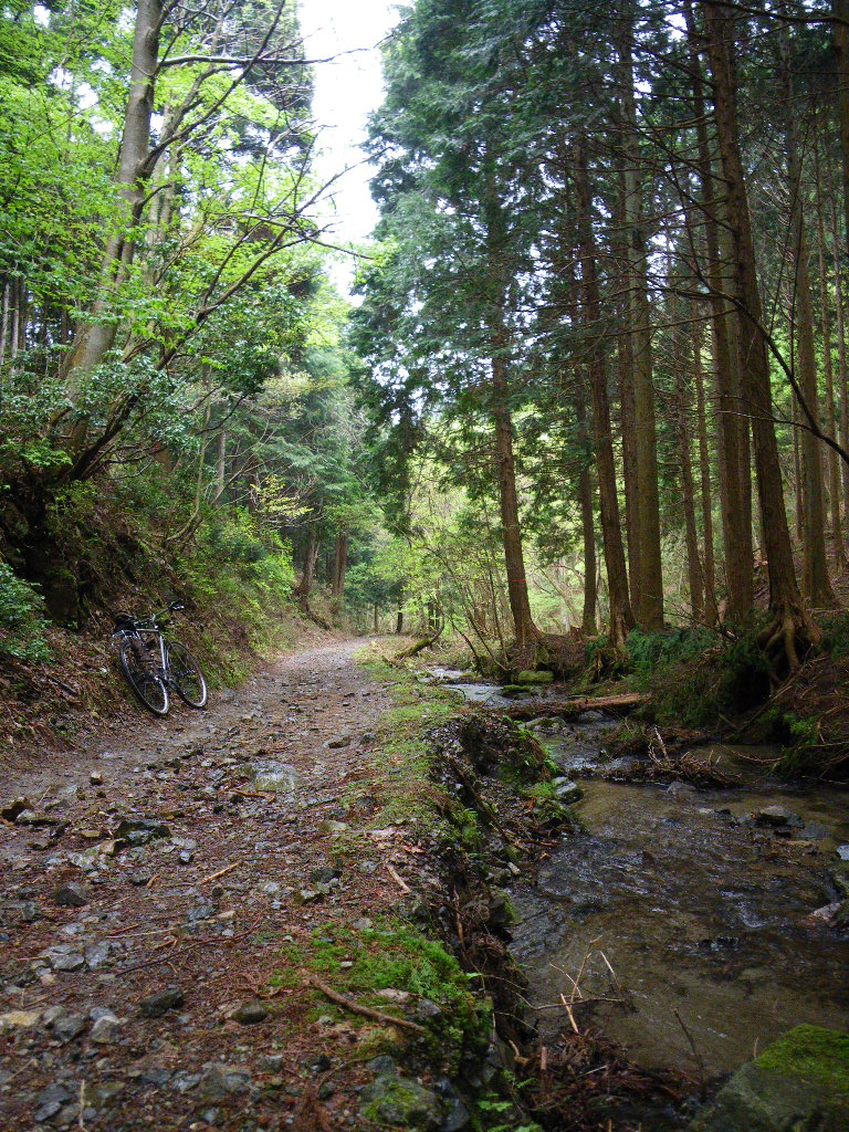c0189724_1355329.jpg
