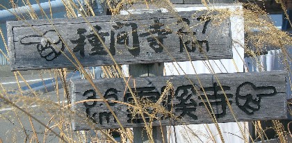 f0213825_159305.jpg