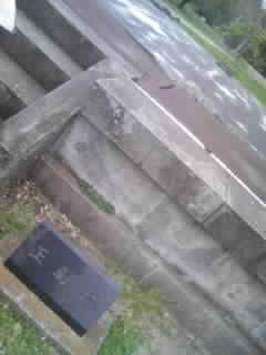 d0009828_15513987.jpg