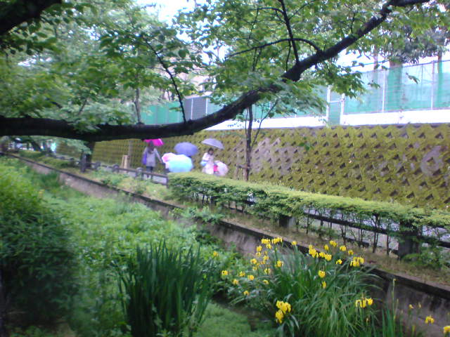 e0016828_12195145.jpg