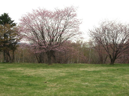 f0227228_18551744.jpg
