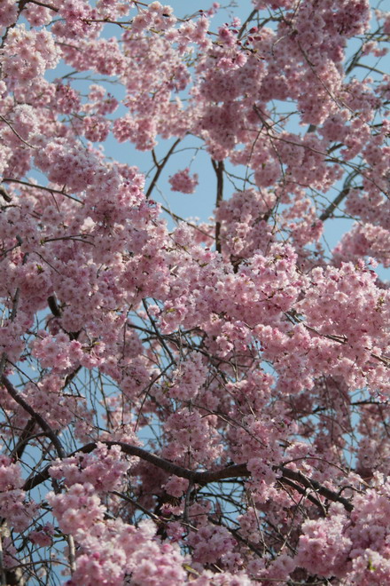c0035931_017259.jpg