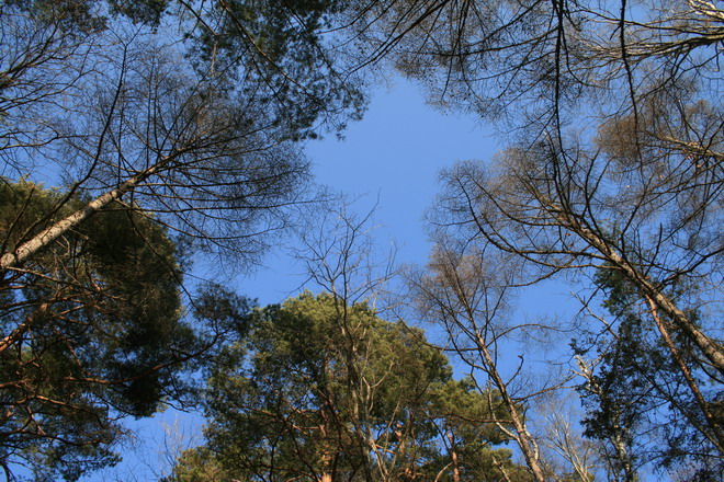 c0035931_0212271.jpg