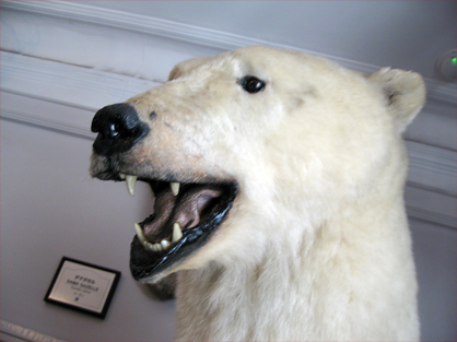 f0213232_1111552.jpg