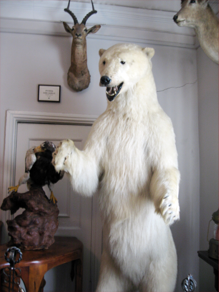 f0213232_111436.jpg