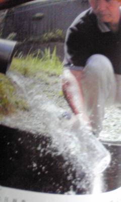 c0227233_14153811.jpg