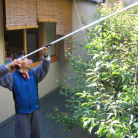 d0033734_6383040.jpg