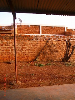 f0204737_4352069.jpg