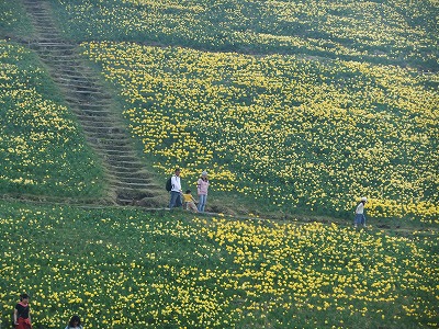 e0173645_22414952.jpg