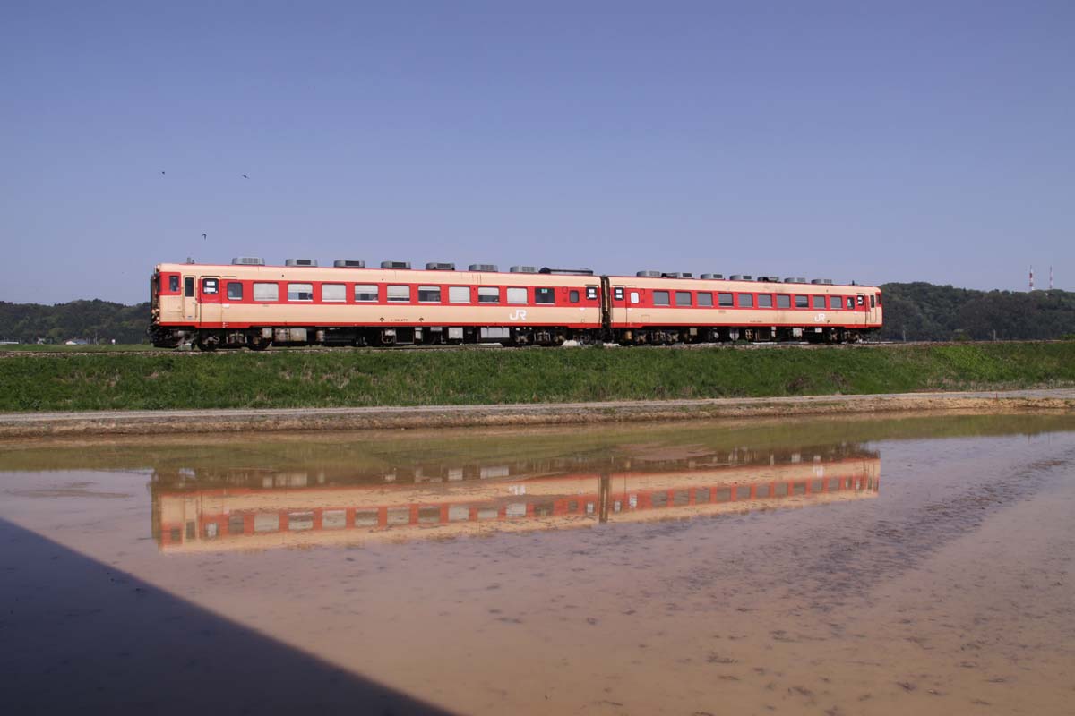 a0082347_1317638.jpg
