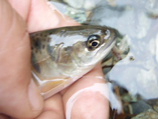 f0168947_10524965.jpg