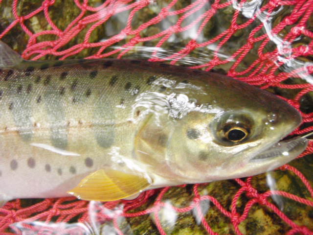 f0168947_10554021.jpg