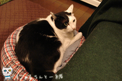 e0031853_133645.jpg