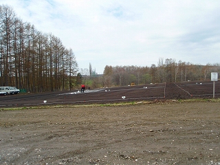 e0004756_19593663.jpg