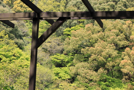 c0153259_14545498.jpg