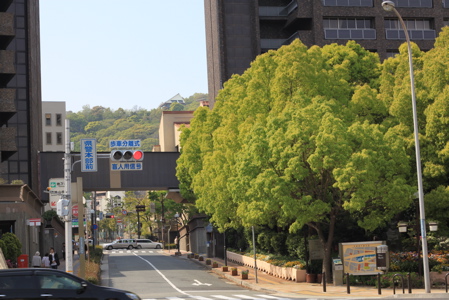 c0153259_145587.jpg