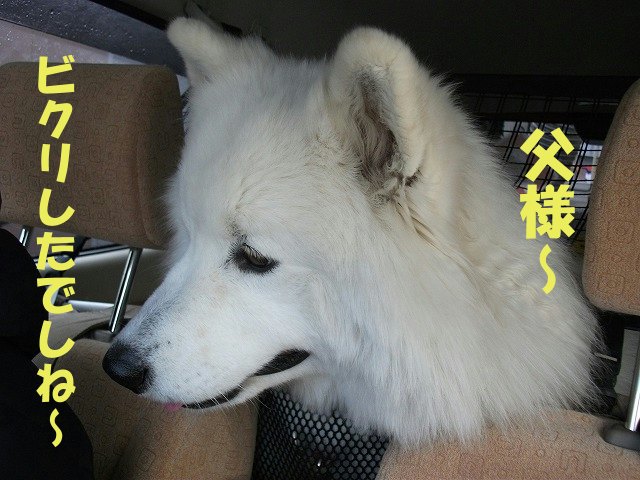 e0176159_217210.jpg