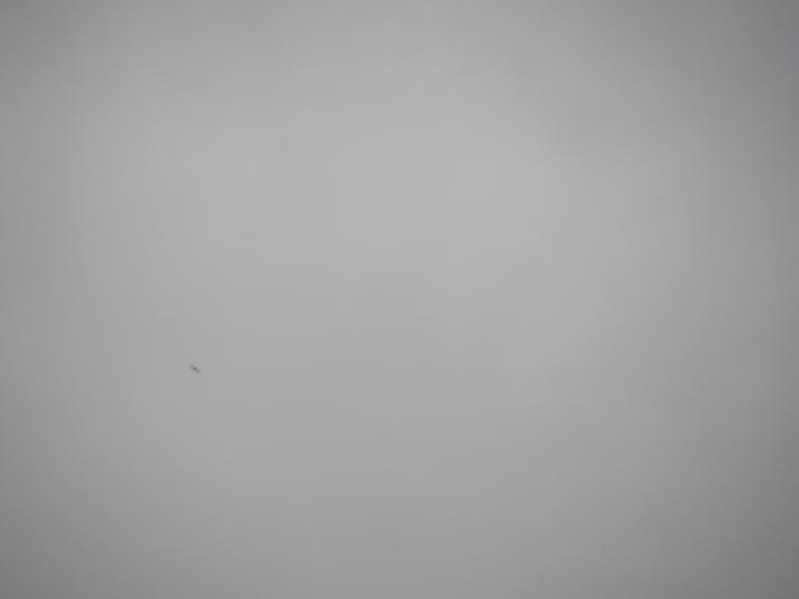 f0212059_22571050.jpg