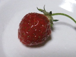 a0121260_22495534.jpg