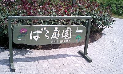 d0076760_22203137.jpg