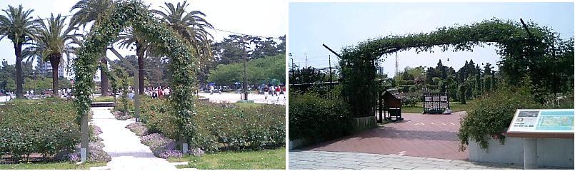 d0076760_2294798.jpg