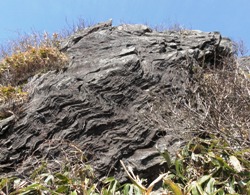 e0197164_1832229.jpg