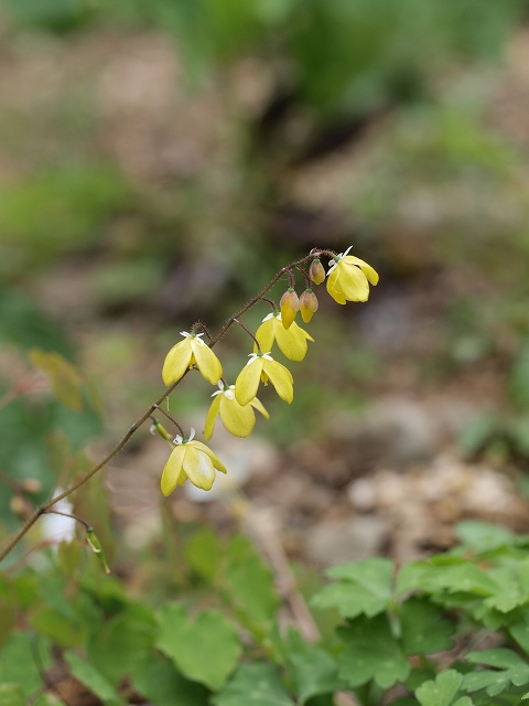 d0025568_2016295.jpg