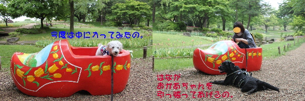 f0203369_20291639.jpg