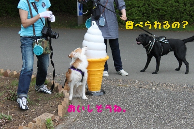 f0203369_20305931.jpg