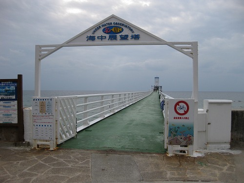 d0082970_032469.jpg