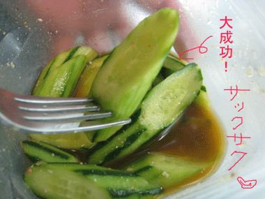 d0050871_1712297.gif