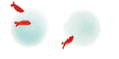 c0204675_13192897.gif