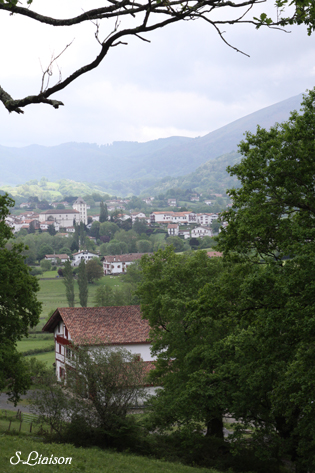 b0139477_22433792.jpg