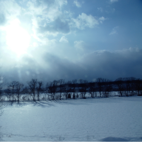 c0106977_2244319.jpg