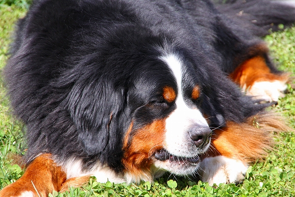 c0149178_10172152.jpg