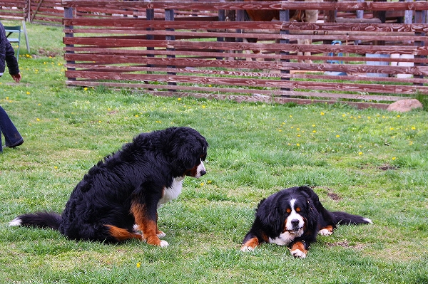c0149178_10231021.jpg