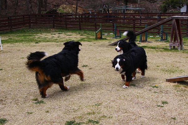 c0149178_1063719.jpg