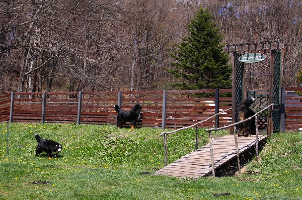 c0149178_8542611.jpg