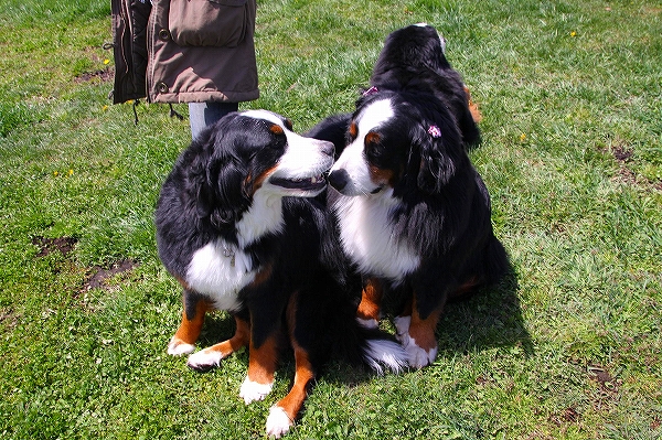 c0149178_926578.jpg